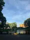 薇拉577577