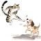 爱猫人士