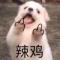 老笔凳