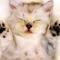 cynthia_yx