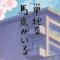 海洋饼干