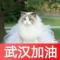 果果
