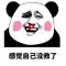 昨迟人