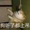 蒙大拿