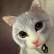 猫宫