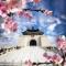 花前月下