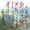 小魚兒
