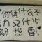 小猫爱抓基