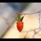 Radish