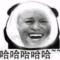 二毛
