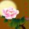 花好月圆