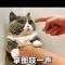 老小子