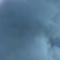 艽野