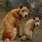MR_009_