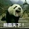 黄鳝精