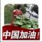 用户10xxx29