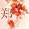 少龙2