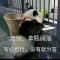 会养鱼的猫
