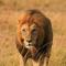 这昵称真棒