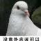 老木