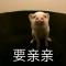 看书学知识