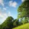 Aaa