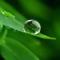 晨曦