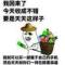 深情不及久伴
