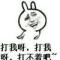 晶洪怡婷