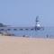 灞河观景人