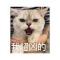 小鱼。