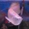 李瑞斌0319