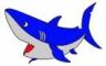 大鲨鱼