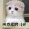 蔷薇阿