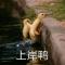 骑猪遛太阳