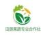 田源果蔬茭白专营