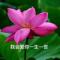 工程师