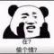 江心大石头