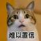记忆