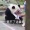 小黑