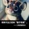 蒲公英