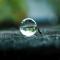 楚风汉雨