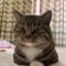 第五季