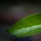 天蓝蓝
