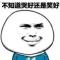 萌新玩家