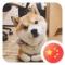明先生