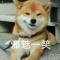 随缘吧