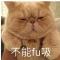 葡萄柠檬干