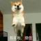 雄霸