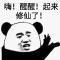 我本将心向明月
